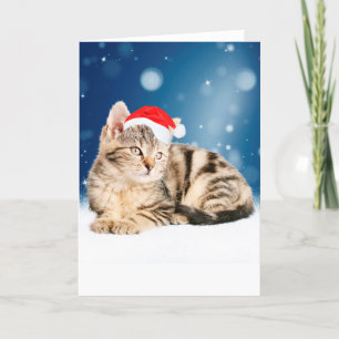 A Cute Cat wearing red Santa hat Christmas Snow Holiday Card