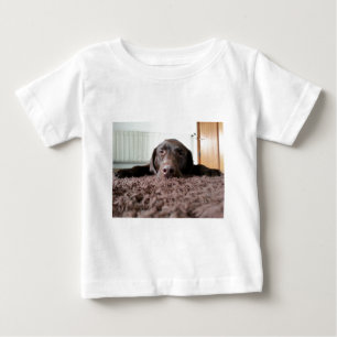 a cute chocolate lab puppy sleeping in a house baby T-Shirt