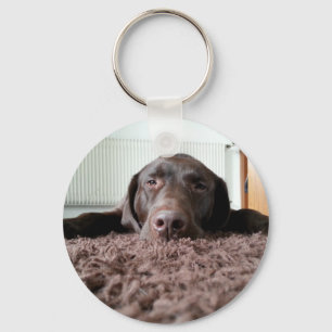 a cute chocolate lab puppy sleeping in a house keychain