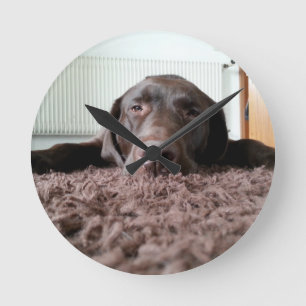 a cute chocolate lab puppy sleeping in a house round clock