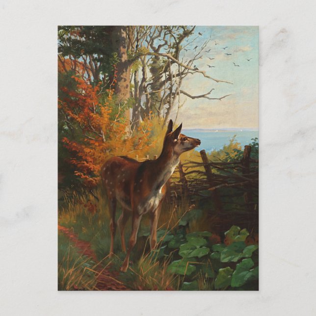 A Cute Deer In The Forest Postcard (Front)