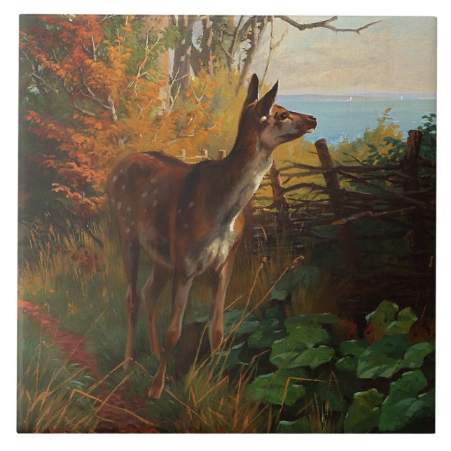 A Cute Deer In The Forest Tile (Front)
