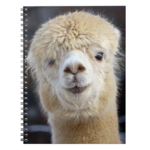 A cute fluffy face of an alpaca notebook