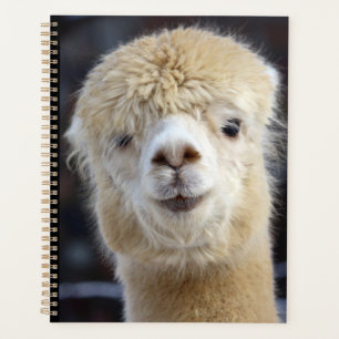 A cute fluffy face of an alpaca planner
