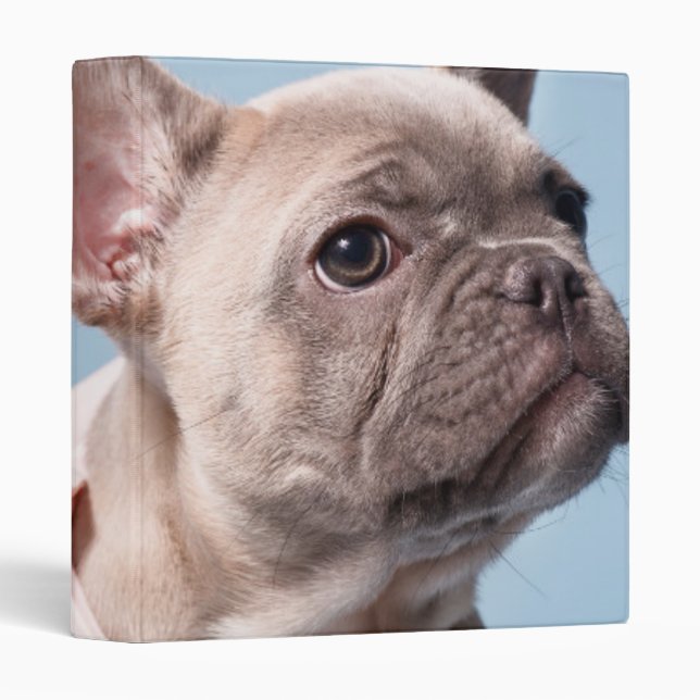 A Cute French Bulldog Binder (Front/Spine)