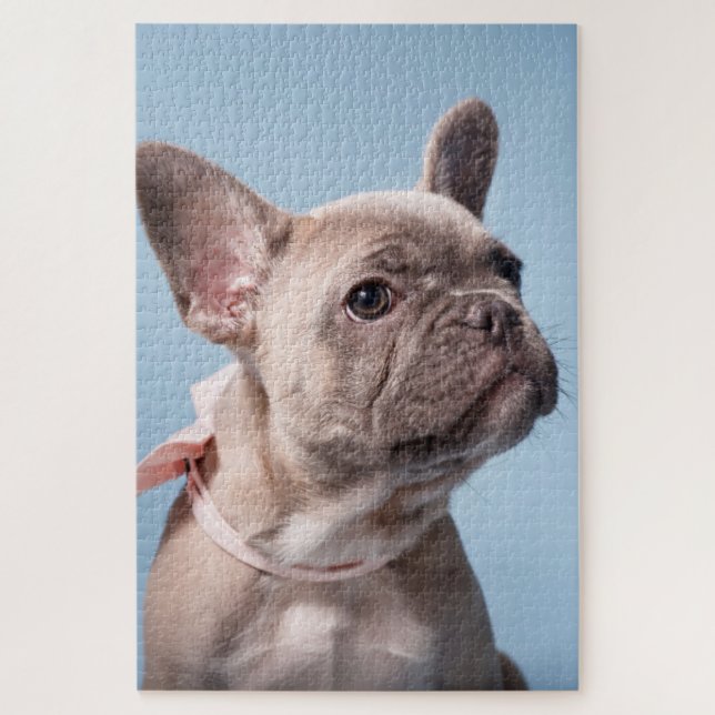 A Cute French Bulldog Jigsaw Puzzle (Vertical)