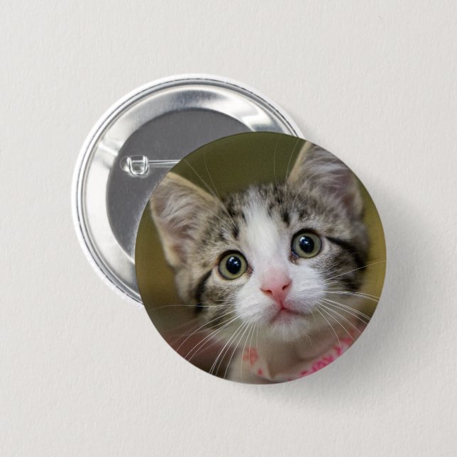 A cute kitten with green eyes 2 inch round button (Front & Back)