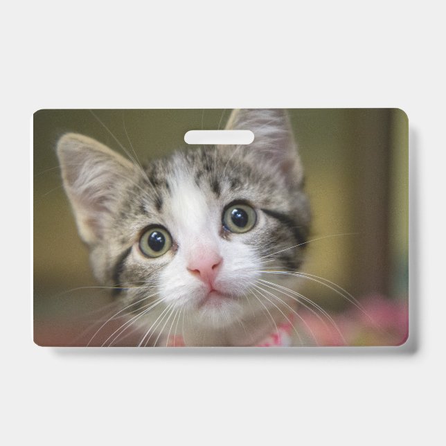 A cute kitten with green eyes badge (Front)