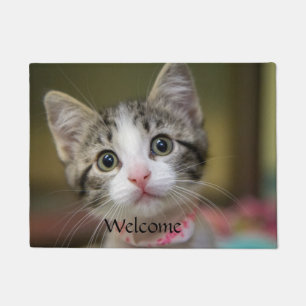 A cute kitten with green eyes doormat