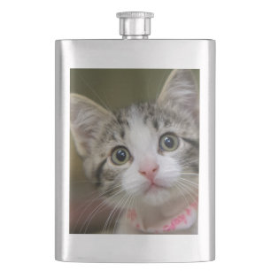 A cute kitten with green eyes hip flask