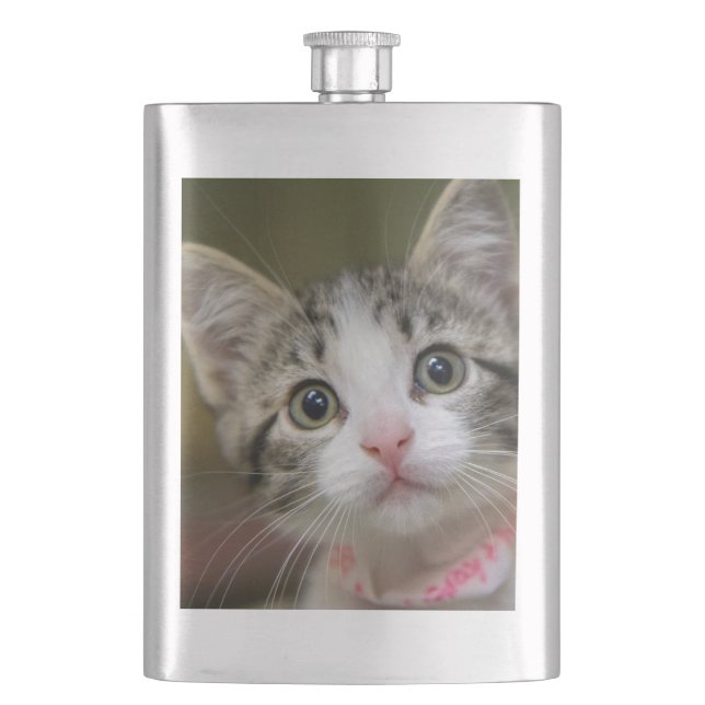 A cute kitten with green eyes hip flask (Front)