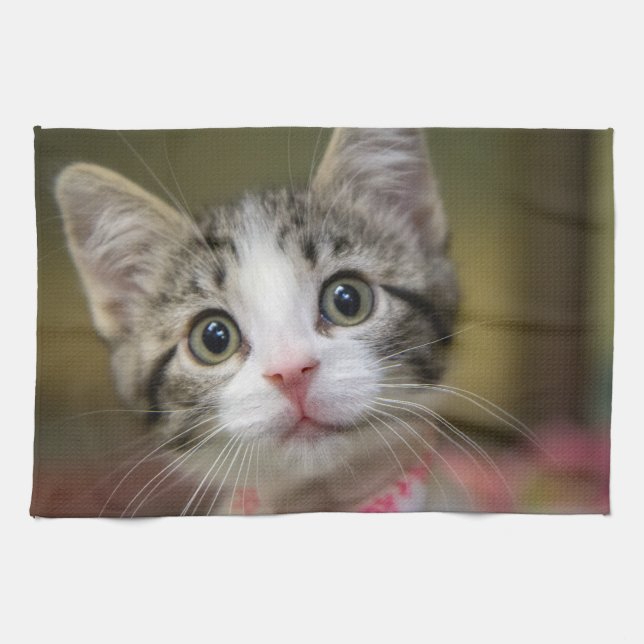 A cute kitten with green eyes kitchen towel (Horizontal)