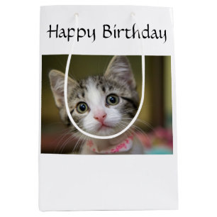 A cute kitten with green eyes medium gift bag