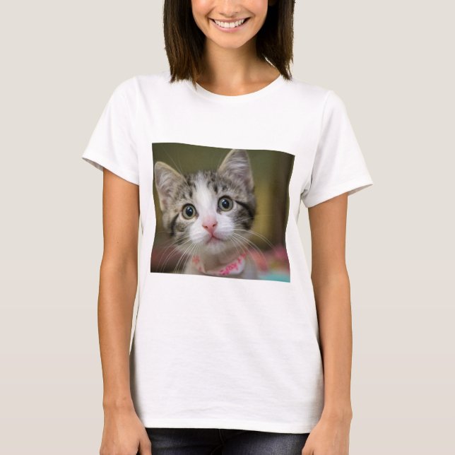 A cute kitten with green eyes T-Shirt (Front)