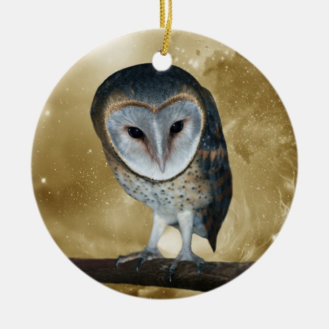 A Cute little Barn Owl Fantasy Ceramic Ornament (Front)