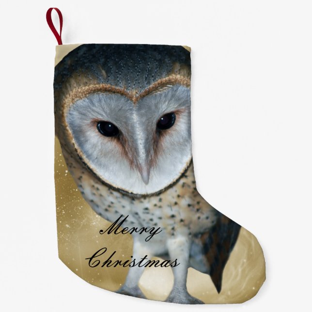A Cute little Barn Owl fantasy Small Christmas Stocking (Front)