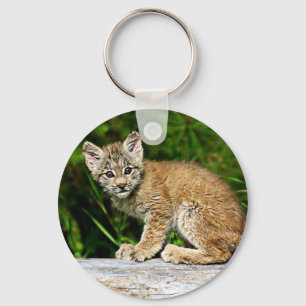A Cute Little Canadian Lynx Kitten Keychain