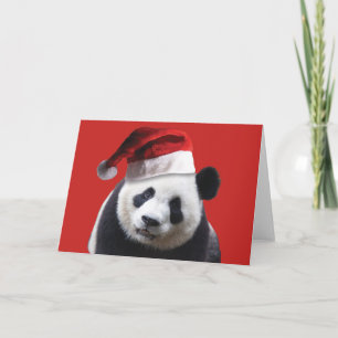 A Cute Panda Bear Wearing a Santa Claus Hat Holiday Card