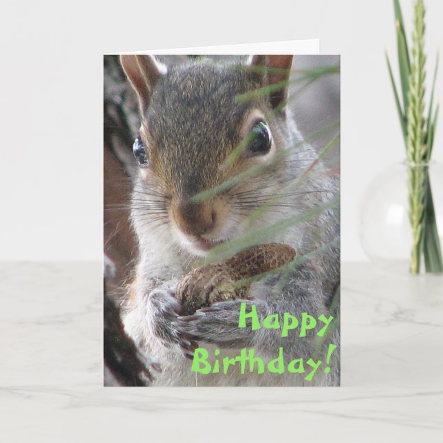 A Cute Squirrel Dug Up A Peanut Happy Birthday Card (Front)