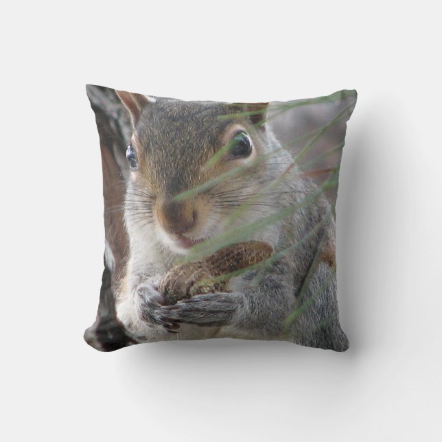 A Cute Squirrel With Peanut Cheeky Decorator Throw Pillow (Front)