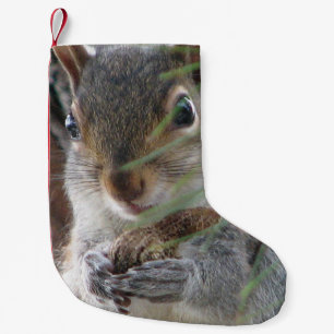 A Cute Squirrel With Peanut Woodland Nature Rodent Small Christmas Stocking
