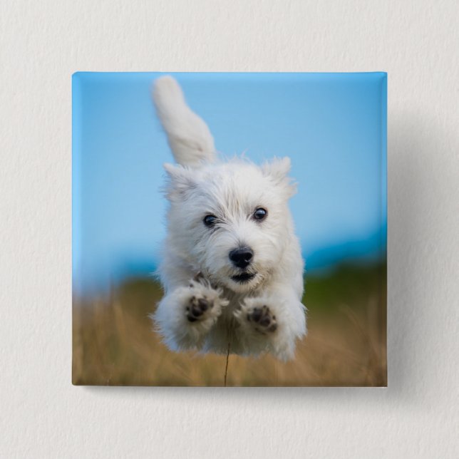 A Cute West Highland Terrier Puppy Running 2 Inch Square Button (Front)