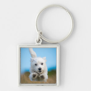 A Cute West Highland Terrier Puppy Running Keychain