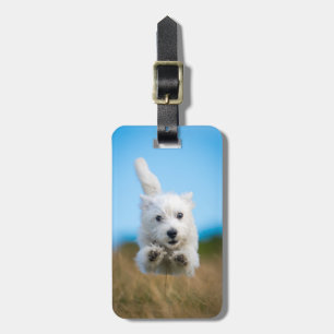 A Cute West Highland Terrier Puppy Running Luggage Tag