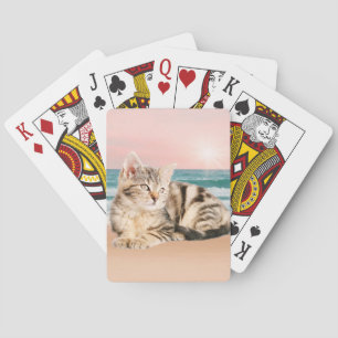 A Cuter Striped Cat Sitting on Beach with sunset Playing Cards