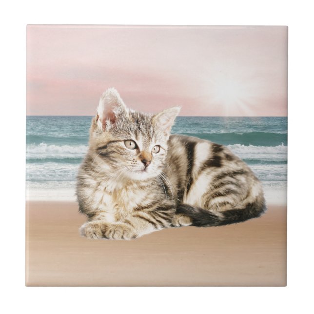 A Cuter Striped Cat Sitting on Beach with sunset Tile (Front)