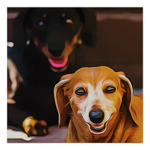 A Dachshund Hot During The Summer Heatwave Poster