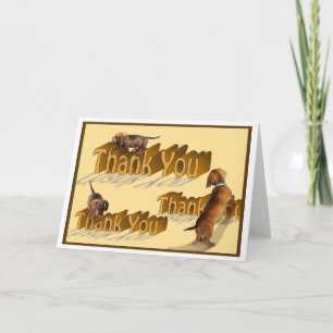 A Dachshund Thank You