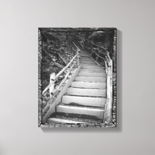 A Dark Path Canvas Print