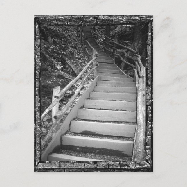 A Dark Path Postcard (Front)