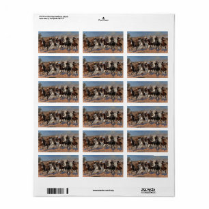 A Dash for the Timber by Frederic Remington Label