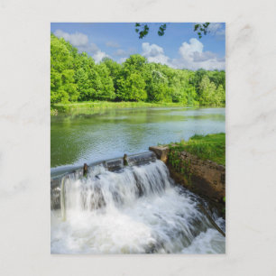 A Day At Ritter Springs Postcard