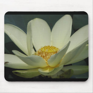A Day at the Pond Series Mouse Pad