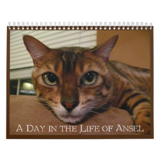 A Day in the Life of Ansel Calendar - 21 month