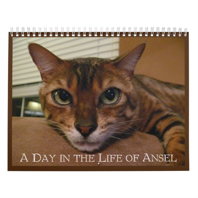 A Day in the Life of Ansel Calendar - 21 month (Cover)
