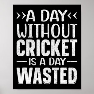 A Day Without Cricket Funny Cricket Player Cricket Poster