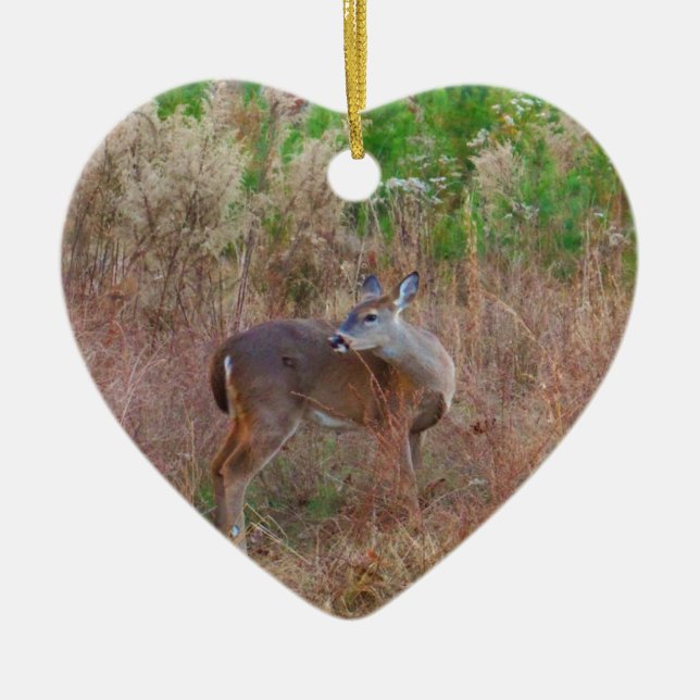A Deer in the Tall Grass Ceramic Ornament (Front)