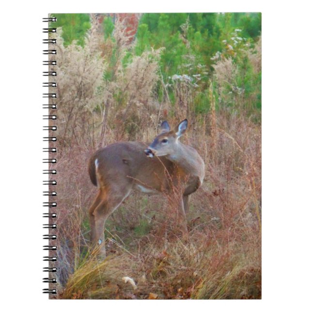 A Deer in the Tall Grass Notebook (Front)