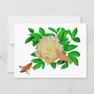 A delicate bird Poster Postcard