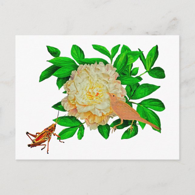 A delicate bird Poster Postcard (Front)