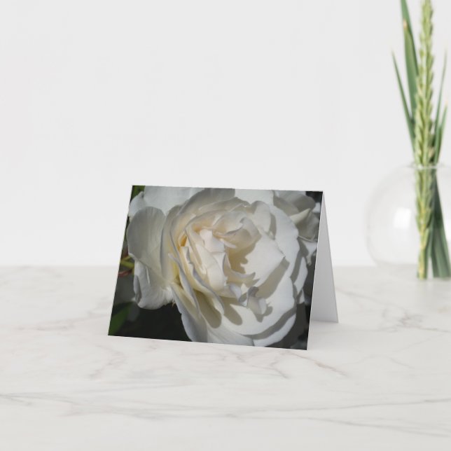 a delicate white breath of purity and innocence thank you card (Front)