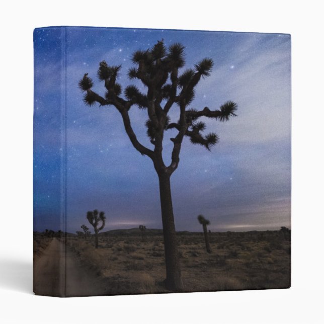 A Desert Road and Joshua Trees at Night Binder (Front/Spine)