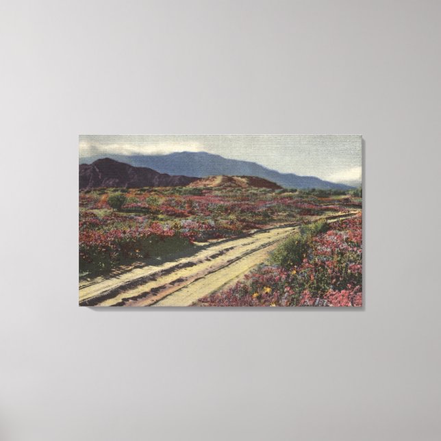 A Desert Road through Springtime Flower Fields Canvas Print (Front)