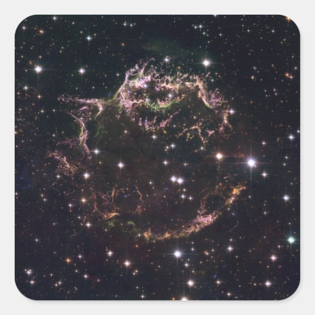 A detailed view at the tattered remains square sticker (Front)