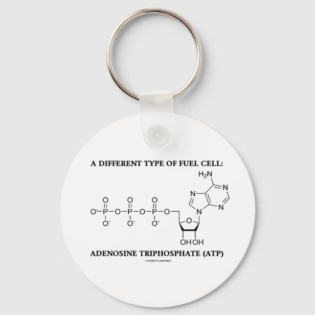 A Different Type Of Fuel Cell (ATP) Keychain (Front)