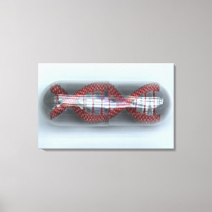 A DNA strand in a capsule Canvas Print